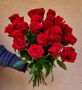 24 rote Rosen, langstielig