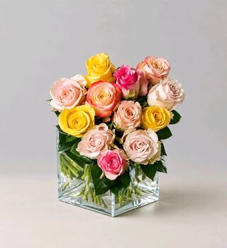 Ti Amo